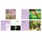 Little Pebble Plant Parts, Set of 6 books 9781977111043 - alternate 2
